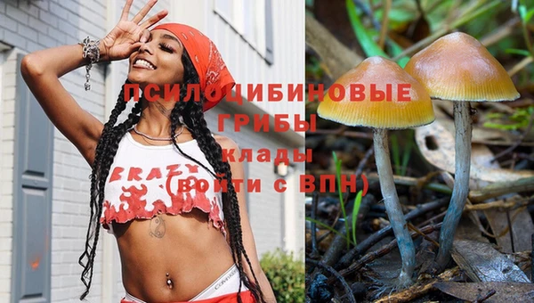 бутират Кукмор