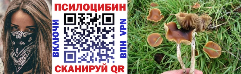 Галлюциногенные грибы Psilocybine cubensis Фрязино