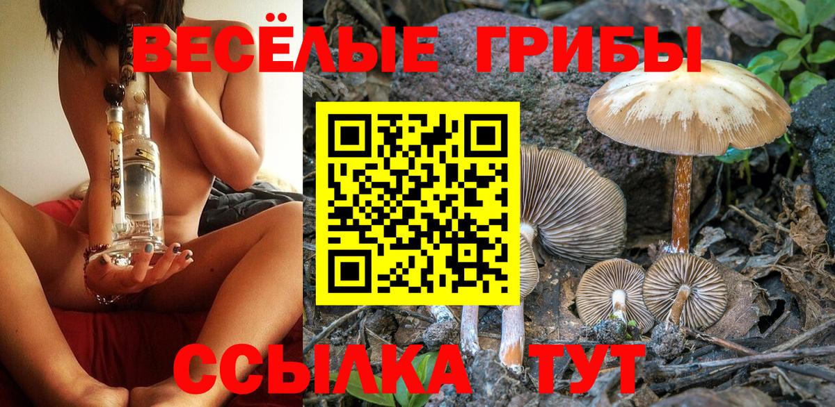 Галлюциногенные грибы Psilocybine cubensis  Вход с VPN  Фрязино  Галлюциногенные грибы MAGIC MUSHROOMS 