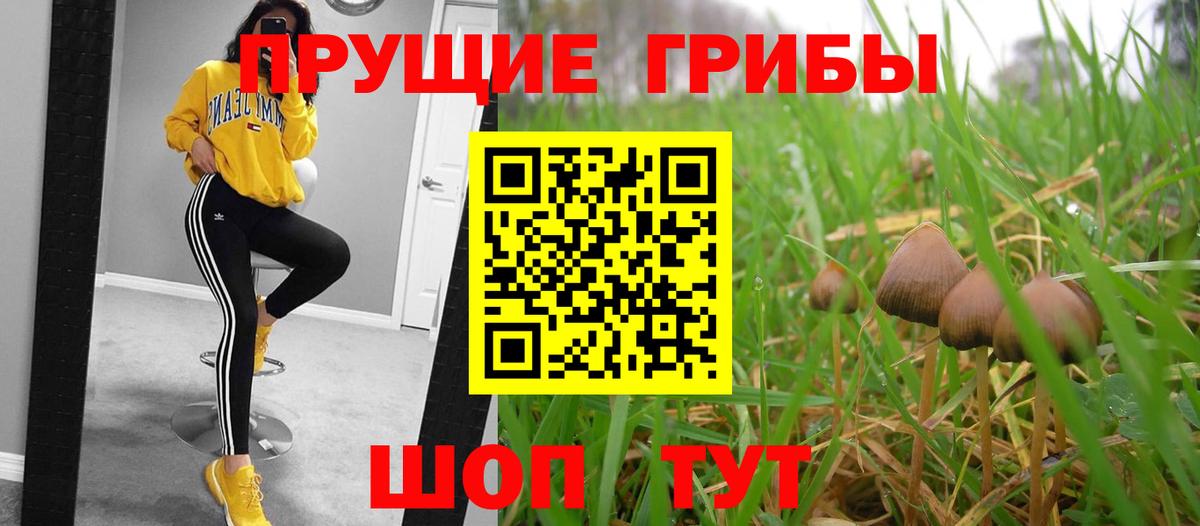 Псилоцибиновые грибы мицелий Фрязино